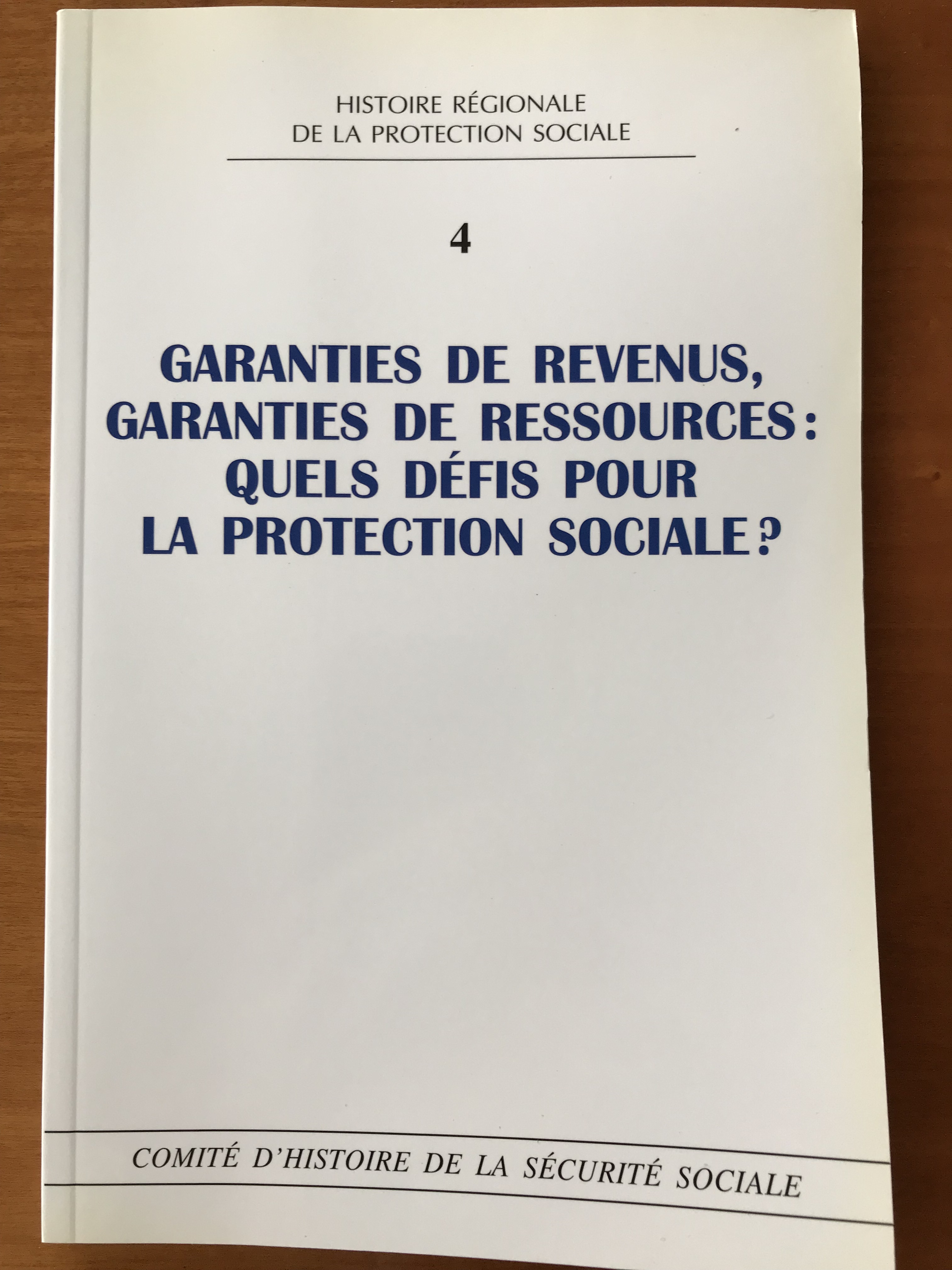 Garanties de revenus, garanties de ressources : quels défis pour la protection sociale ?